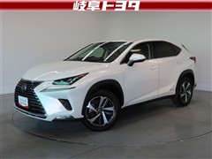 NX300h Iパッケージ