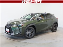 UX250h バージョンC