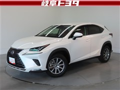 NX300 Iパッケージ