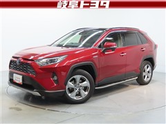 RAV4 HV G