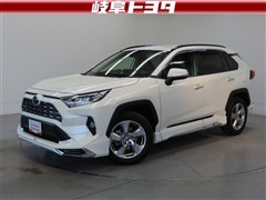 RAV4 G