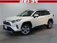 RAV4 G