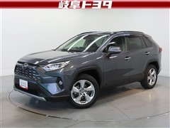 RAV4 G