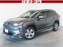RAV4 HV G