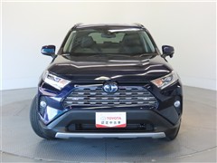 RAV4 HV G