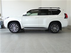 ランドクルーザープラド TZ-G