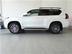 ランドクルーザープラド TZ-G