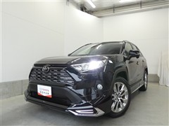 RAV4 G Zパッケージ