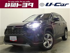 RAV4 G