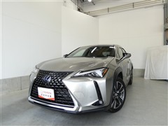UX250h バージョンL