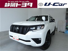 ランクルプラドTX LPKGマットB