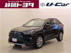 RAV4 G Zパッケージ
