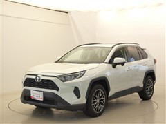 RAV4 X