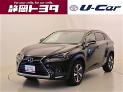 NX300 Iパッケージ