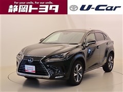 NX300 Iパッケージ