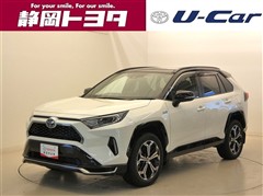 RAV4 PHV ブラックトーン