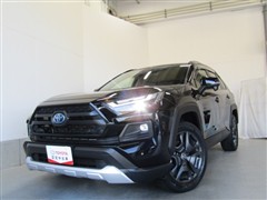 RAV4 HV アドベンチャー