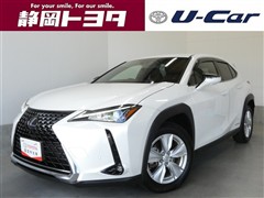 UX250h バージョンC