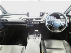 UX250h バージョンC