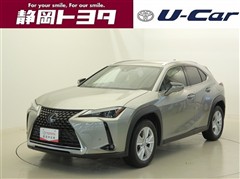 UX250h バージョンC