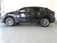 RX450h バージョンL