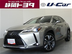 UX250h バージョンC