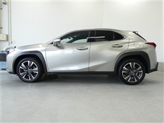 UX250h バージョンC