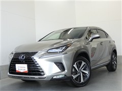 NX300h Iパッケージ