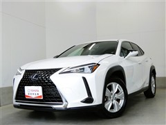 UX250h ヒョウジュンシャ