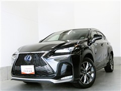 NX300h Fスポーツ