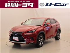 NX300 Iパッケージ