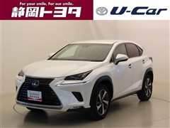 NX300h バージョンL