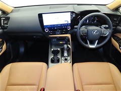 NX250 バージョンL