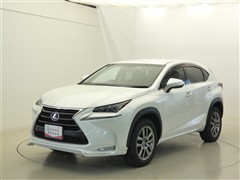 NX200t Iパッケージ