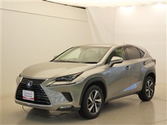 NX300 Iパッケージ