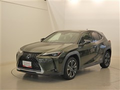 UX250h バージョンC