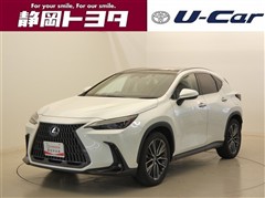 NX250 バージョンL