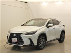 NX250 バージョンL