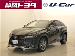 NX300h Fスポーツ