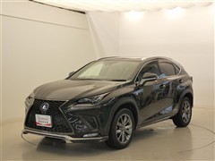 NX300h Fスポーツ