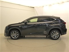 NX300h Fスポーツ