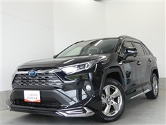 RAV4 ハイブリッドG