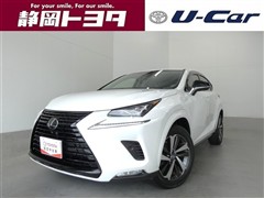 レクサス NX300ブラックシークエンス