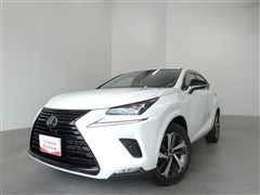 NX300ブラックシークエンス