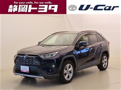 RAV4 G