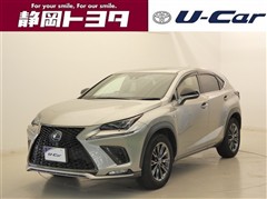NX300 Fスポーツ
