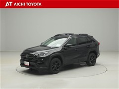 RAV4 アドベンチャー オフロート