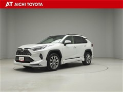 ＲＡＶ４