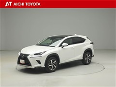 NX300 Iパッケージ