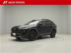 RAV4 アドベンチャー オフロート